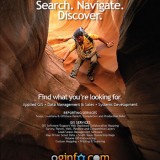 OGInfo.cm LLC